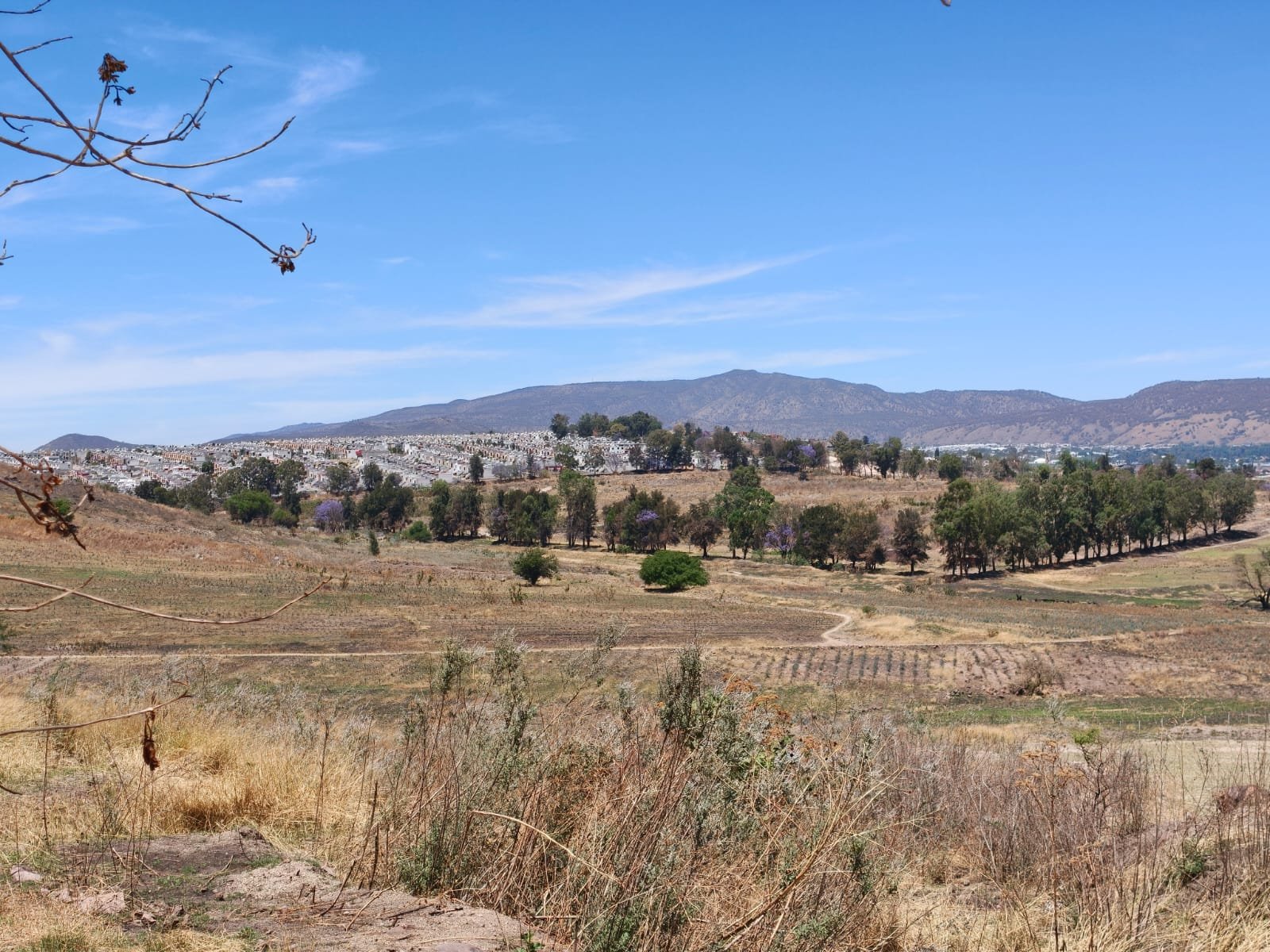 TERRENO EN VENTA SAN SEBASTIAN EL GRANDE, TLAJOMULCO DE ZUÑIGA, JAL.