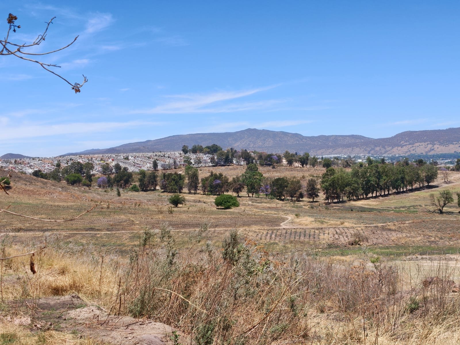 TERRENO EN VENTA SAN SEBASTIAN EL GRANDE, TLAJOMULCO DE ZUÑIGA, JAL.