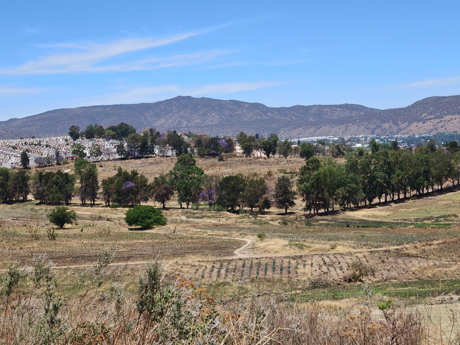 TERRENO EN VENTA SAN SEBASTIAN EL GRANDE, TLAJOMULCO DE ZUÑIGA, JAL.