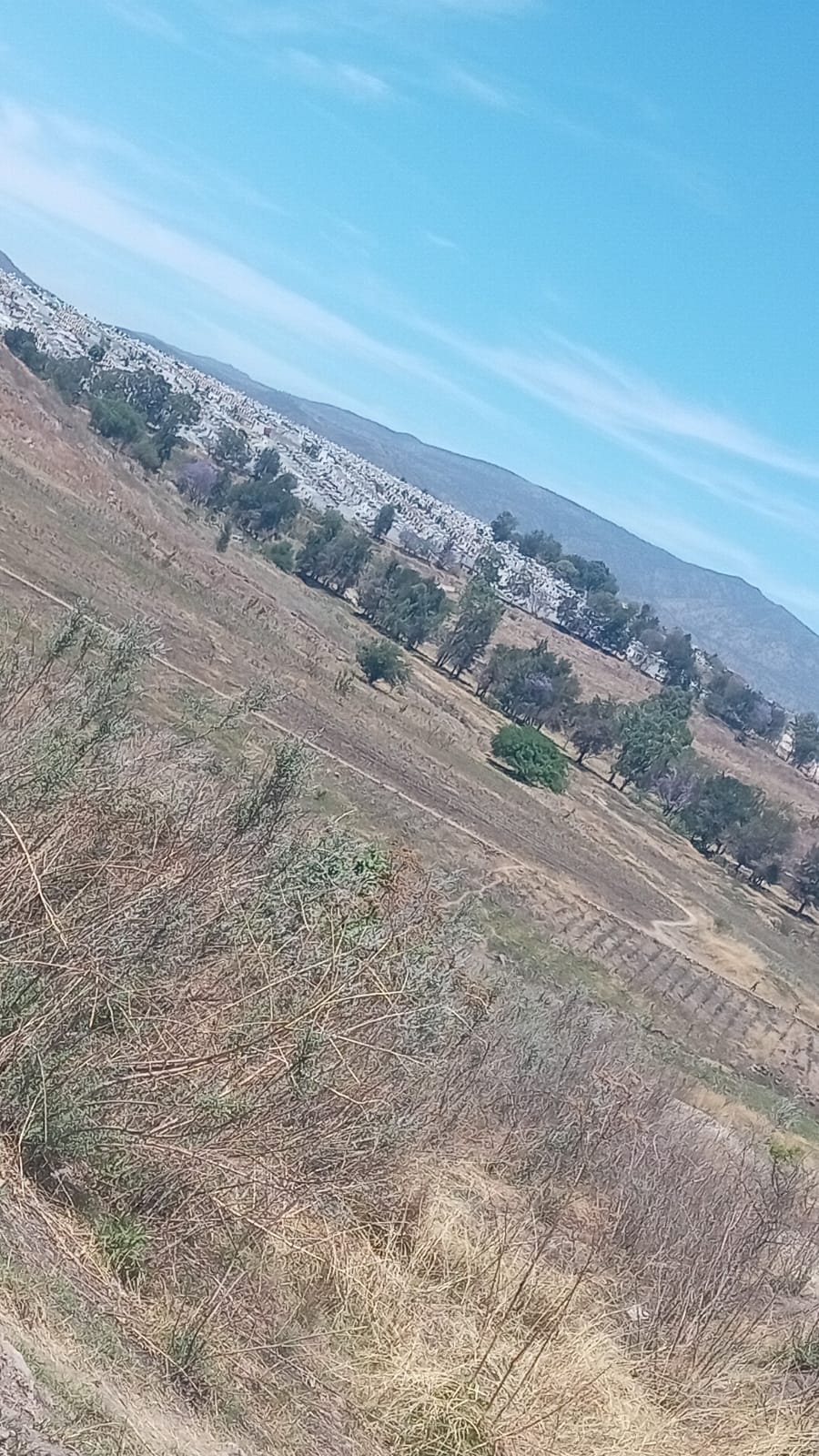 TERRENO EN VENTA SAN SEBASTIAN EL GRANDE, TLAJOMULCO DE ZUÑIGA, JAL.