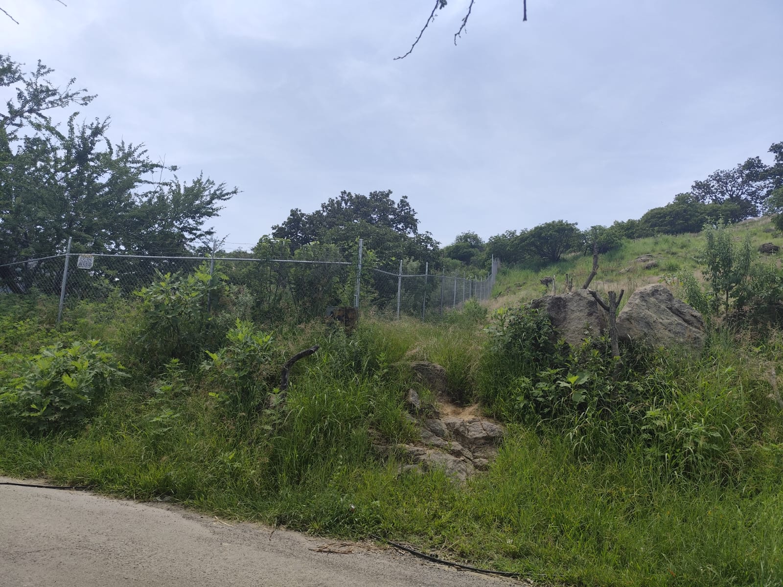 TERRENO EN VENTA SAN ESTEBAN,JALISCO
