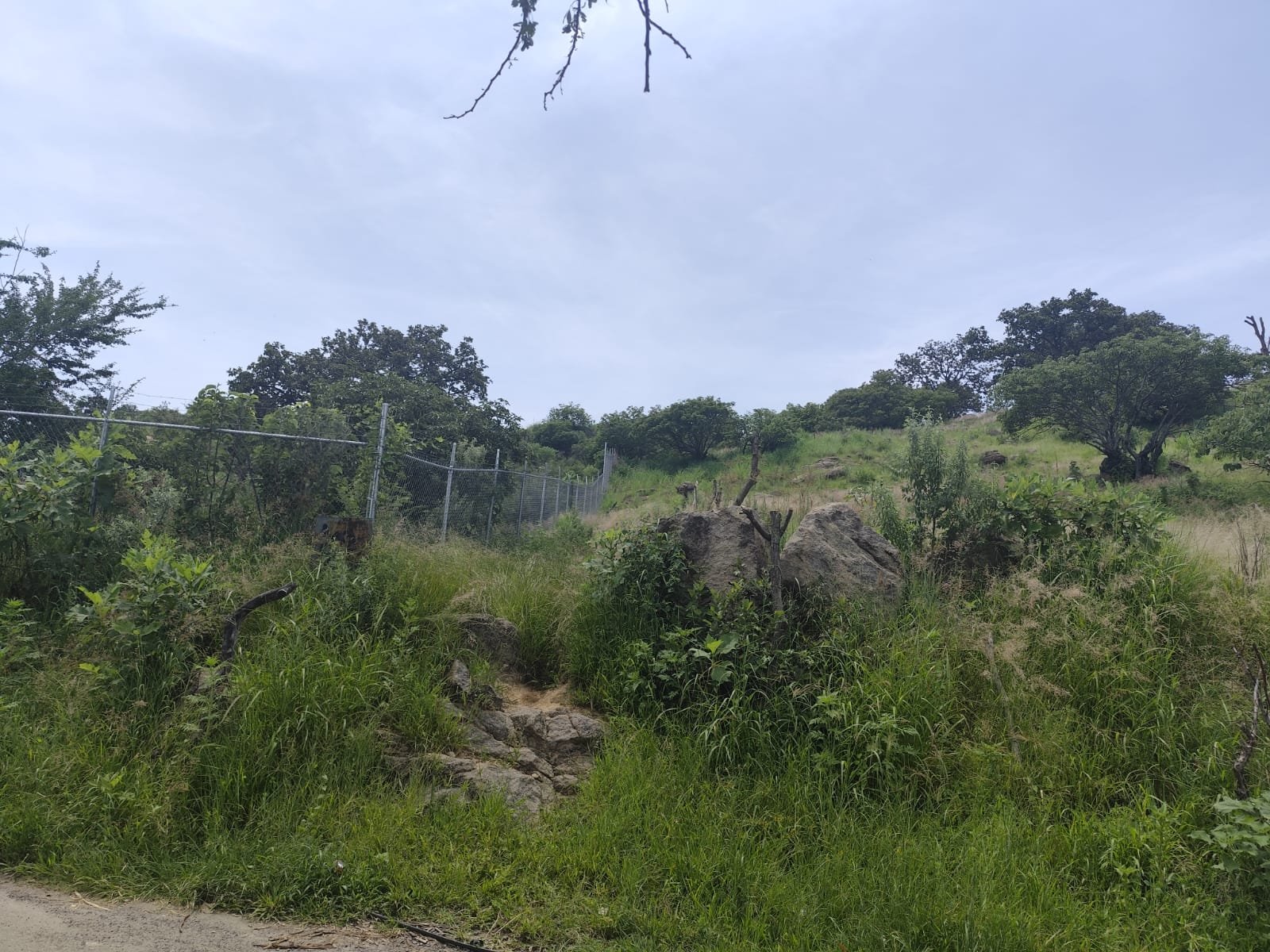 TERRENO EN VENTA SAN ESTEBAN,JALISCO