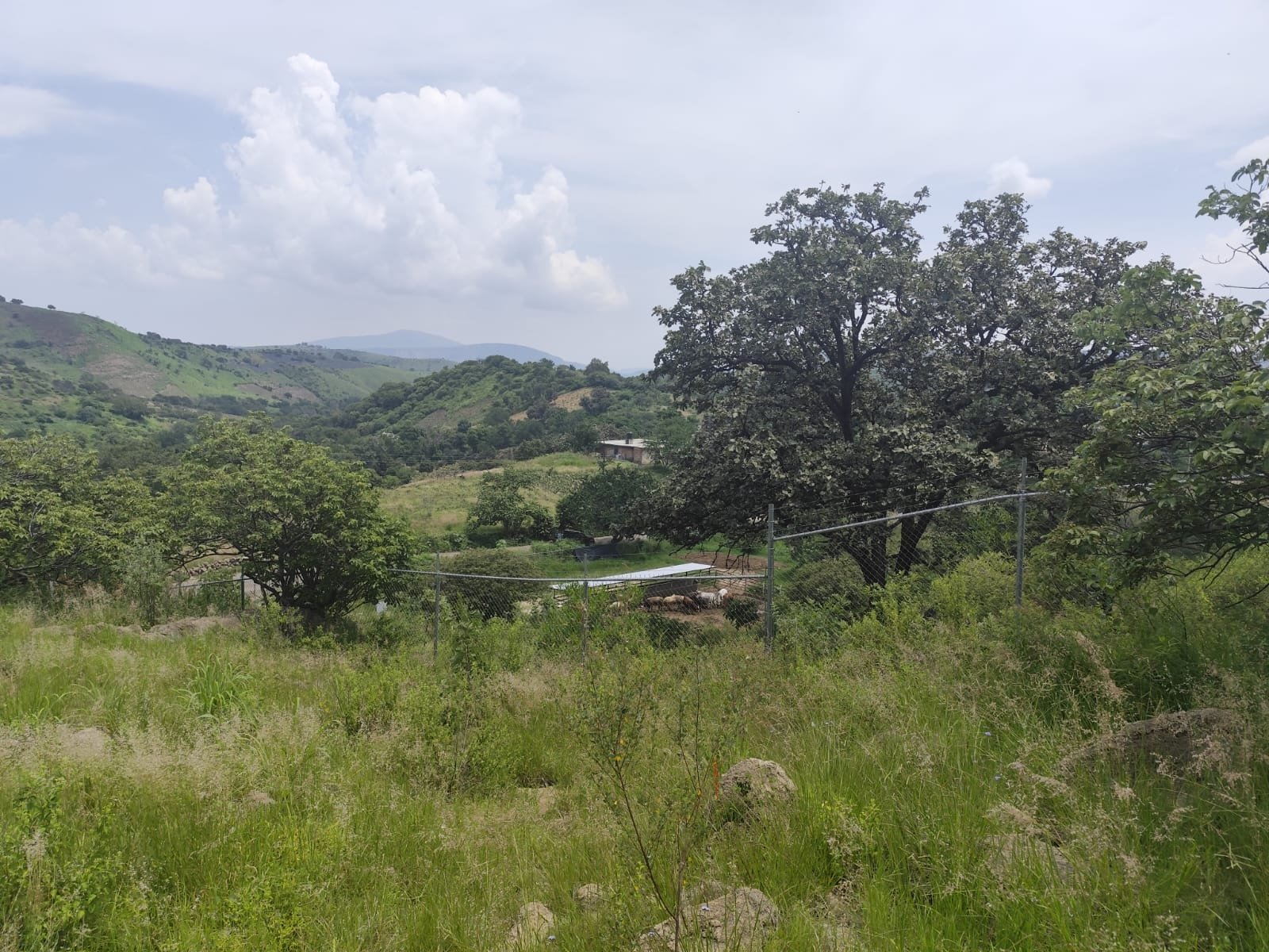 TERRENO EN VENTA SAN ESTEBAN,JALISCO