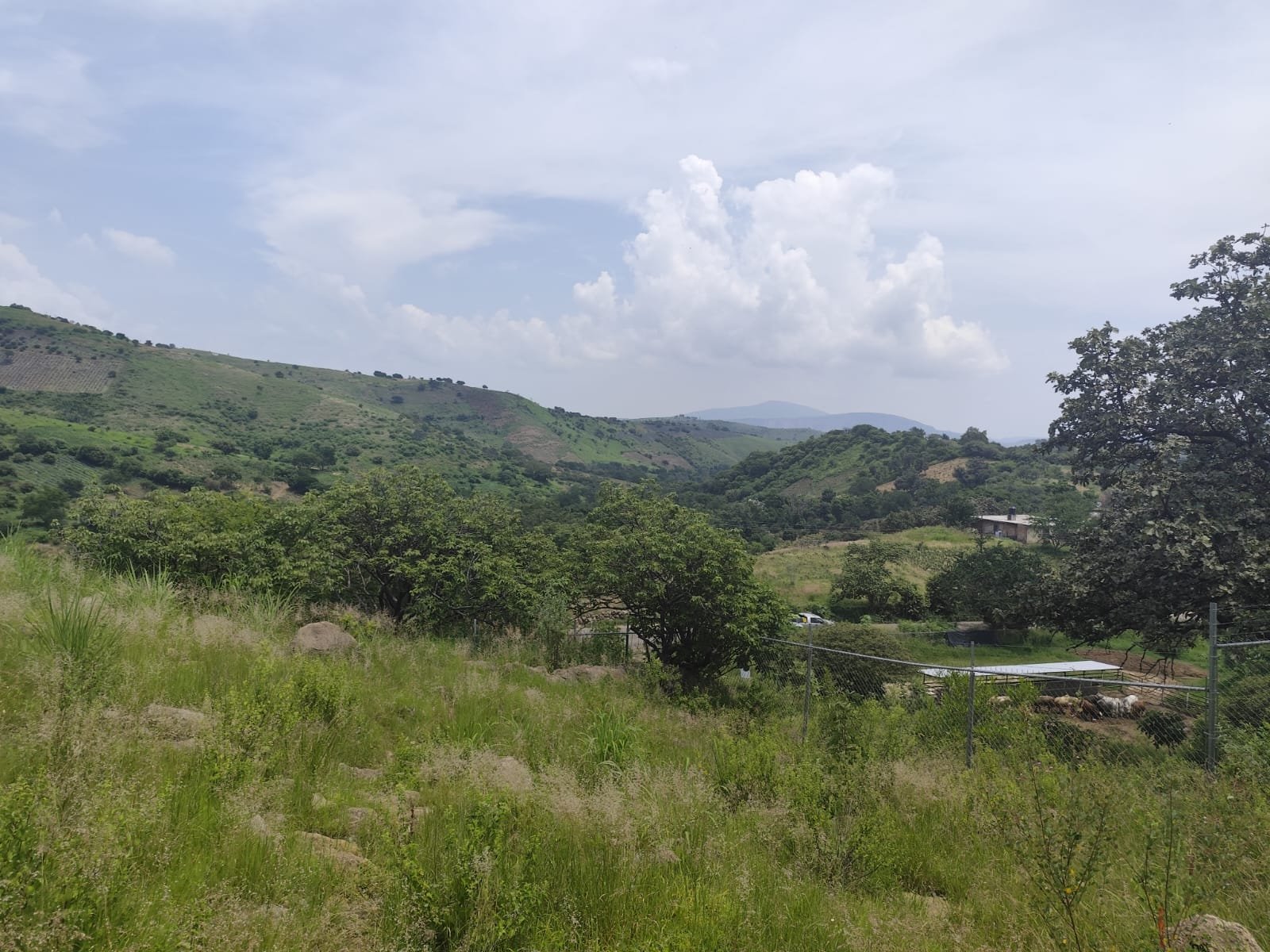 TERRENO EN VENTA SAN ESTEBAN,ZAPOPAN,JALISCO