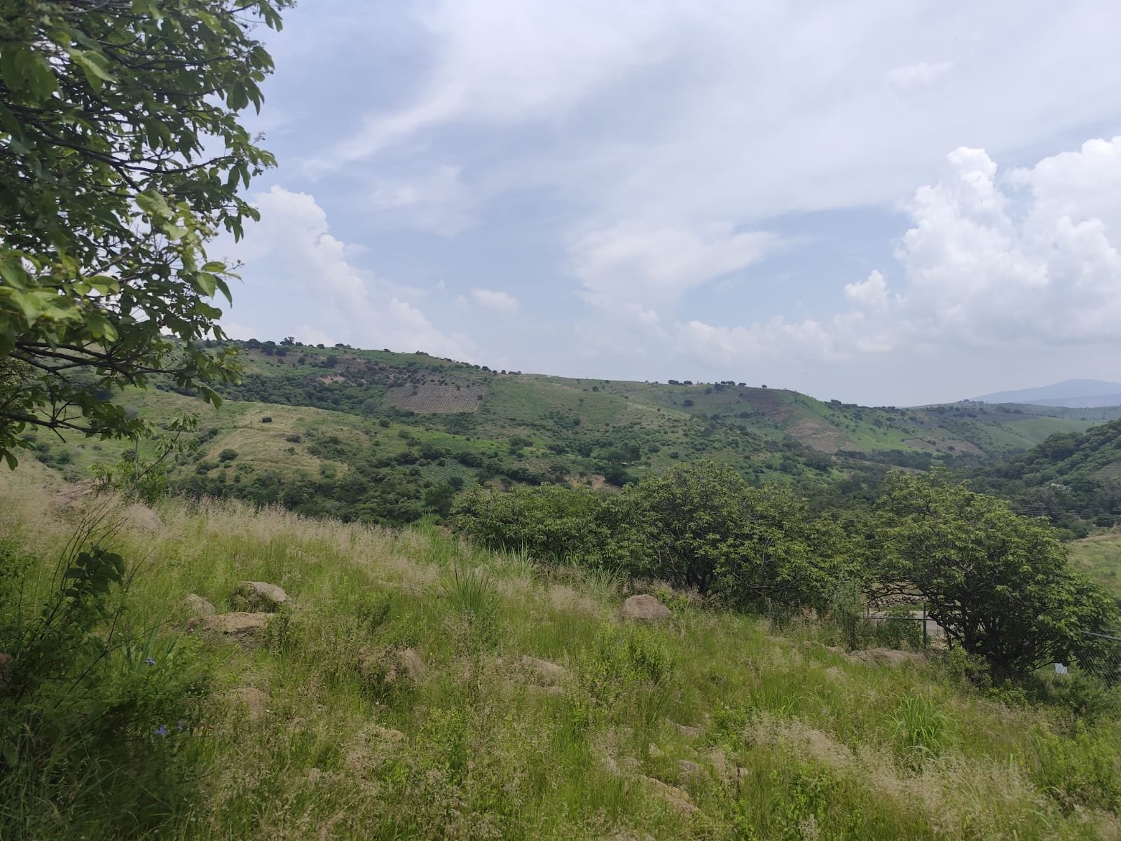 TERRENO EN VENTA SAN ESTEBAN,JALISCO