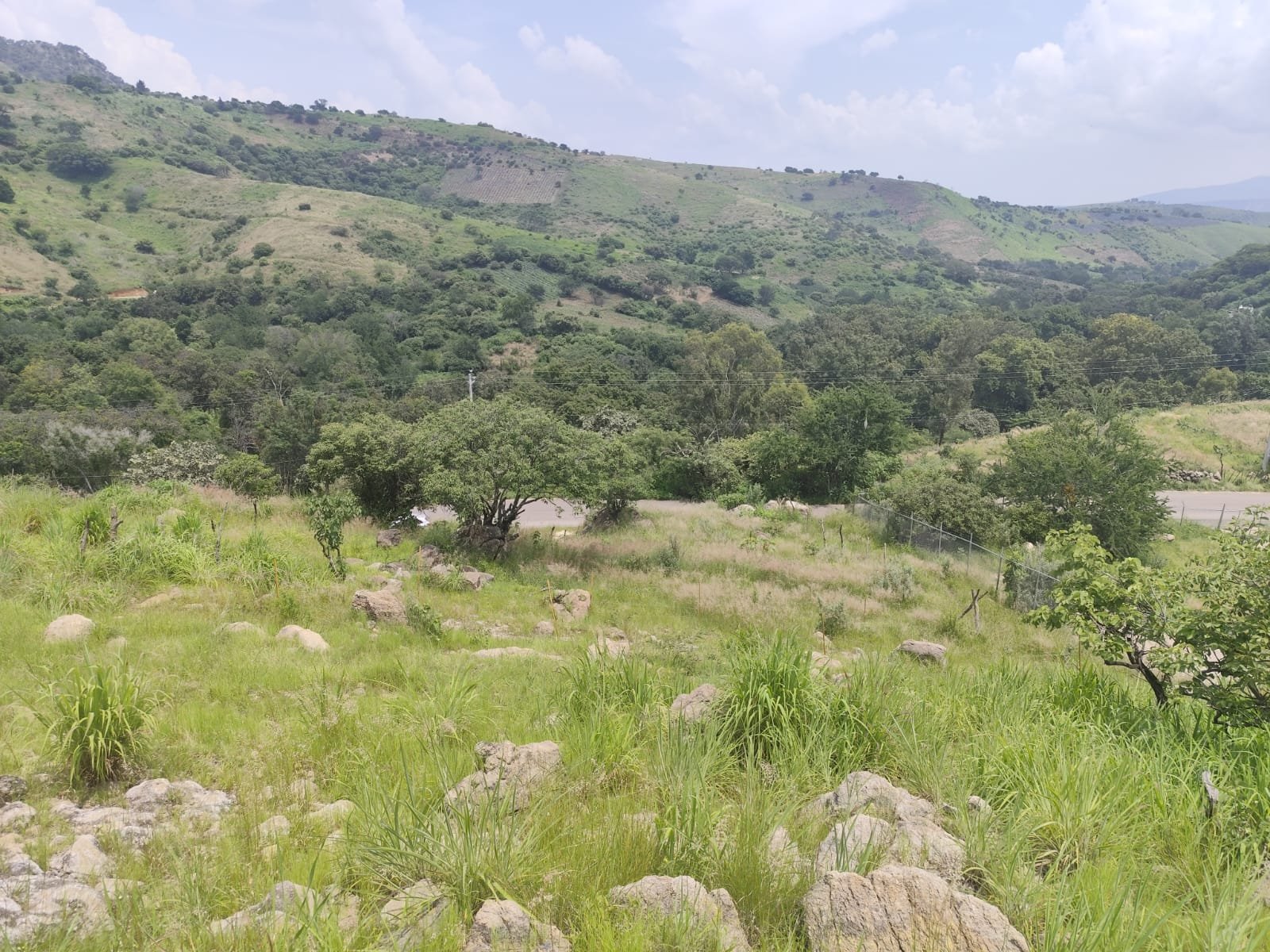 TERRENO EN VENTA SAN ESTEBAN,JALISCO