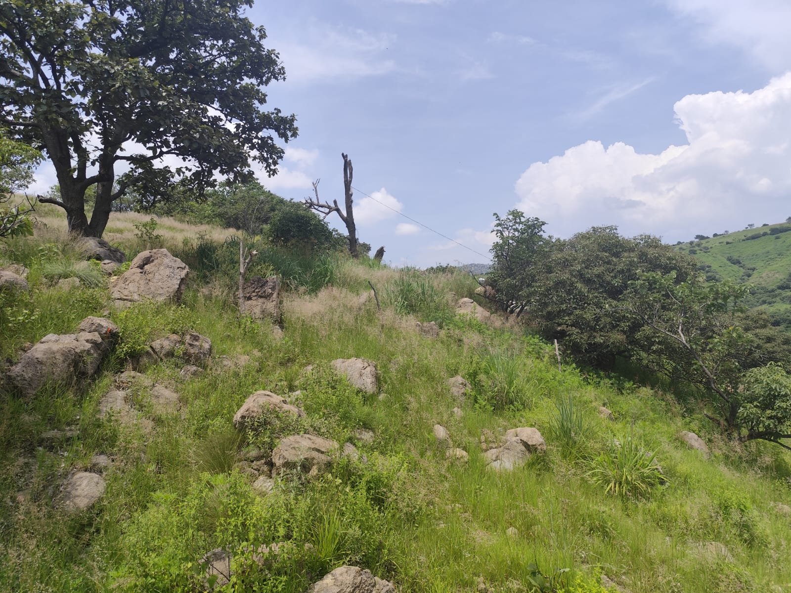 TERRENO EN VENTA SAN ESTEBAN,JALISCO