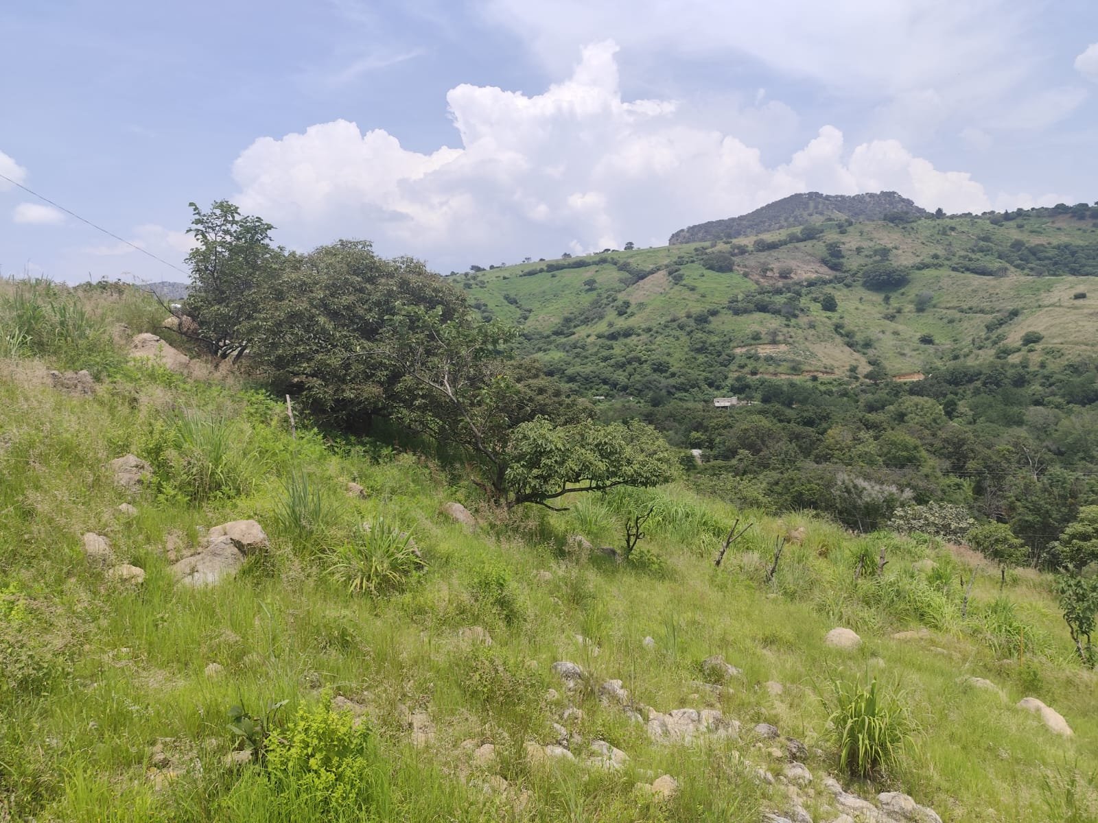 TERRENO EN VENTA SAN ESTEBAN,JALISCO