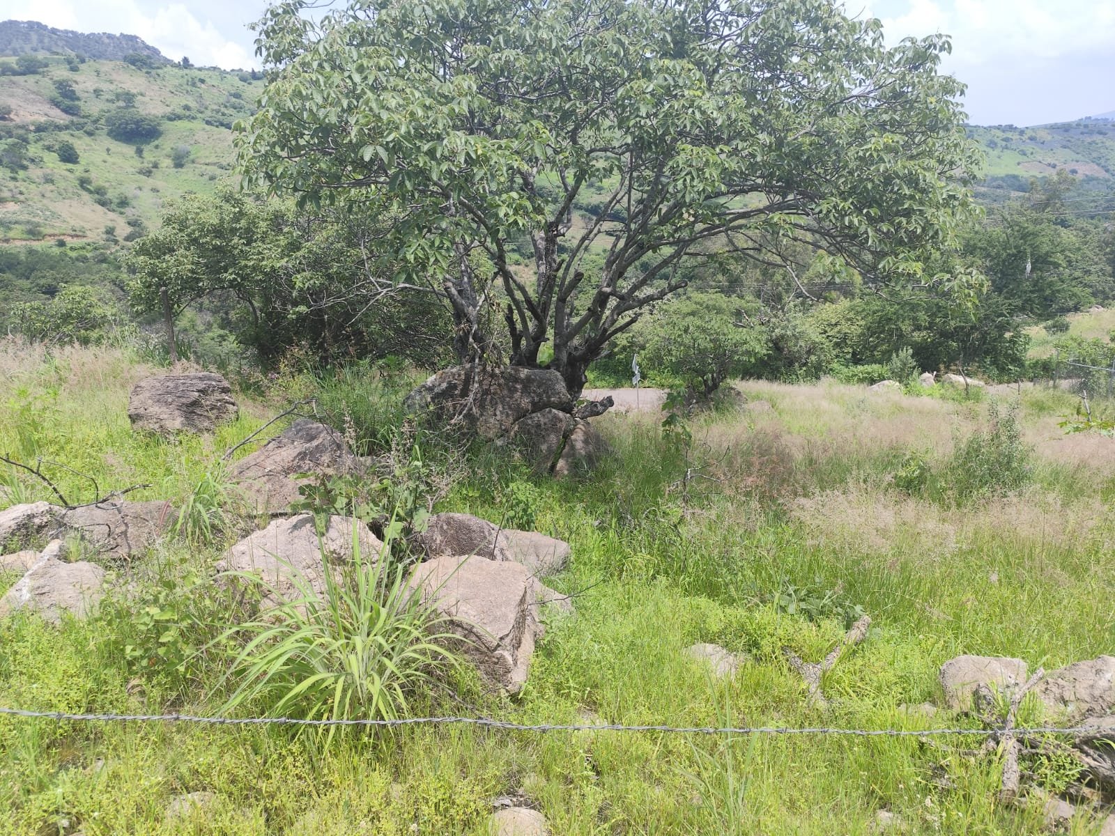 TERRENO EN VENTA SAN ESTEBAN,ZAPOPAN,JALISCO