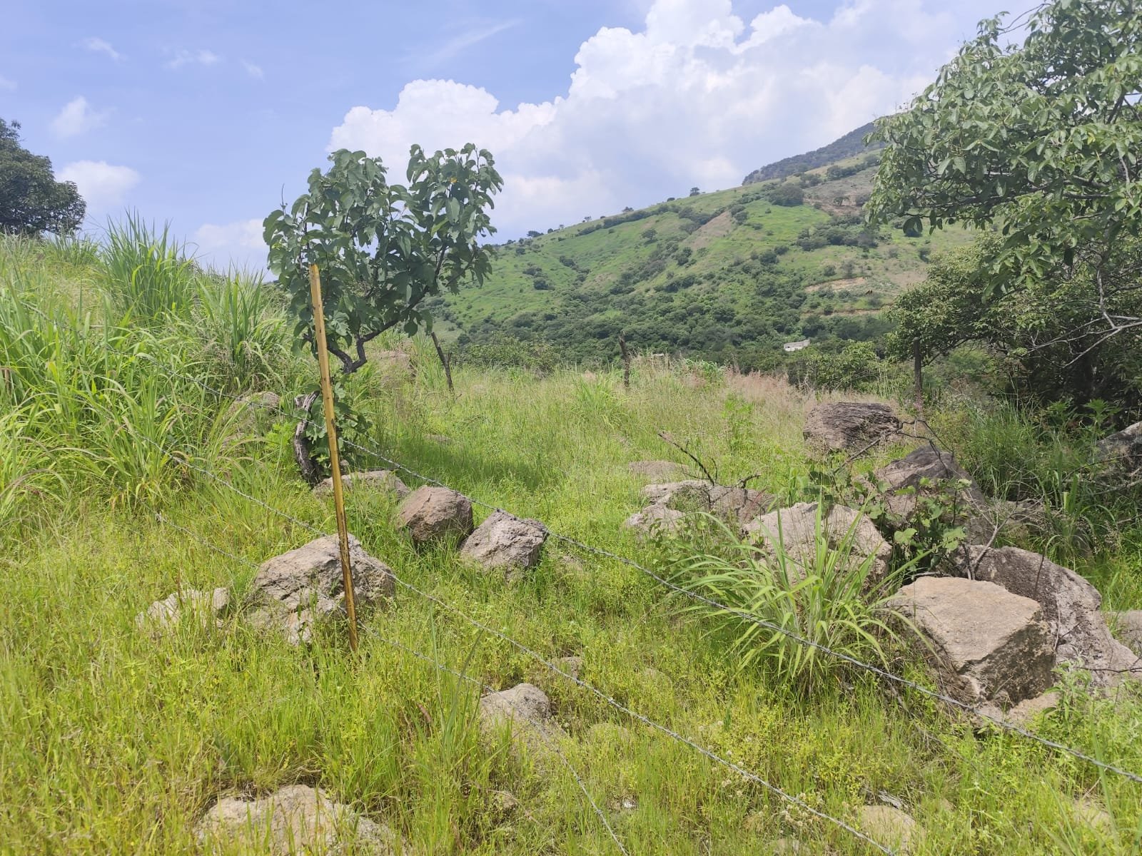 TERRENO EN VENTA SAN ESTEBAN,ZAPOPAN,JALISCO