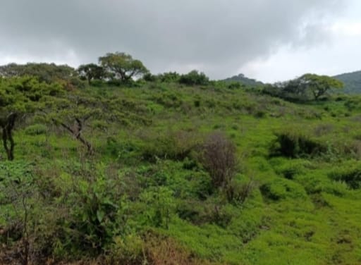 TERRENO EN VENTA CHANTEPEC,JOCOTEPEC,JAL.
