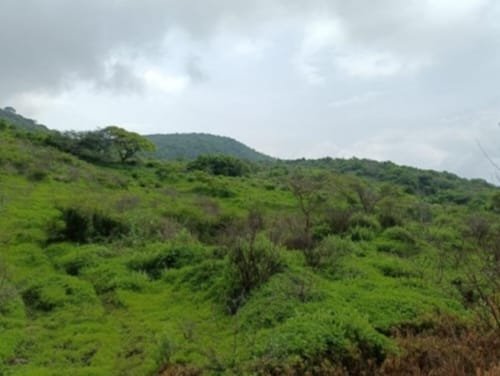 TERRENO EN VENTA CHANTEPEC,JOCOTEPEC,JAL.