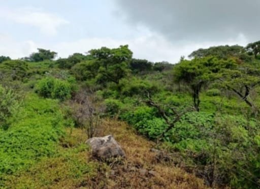 TERRENO EN VENTA CHANTEPEC,JOCOTEPEC,JAL.