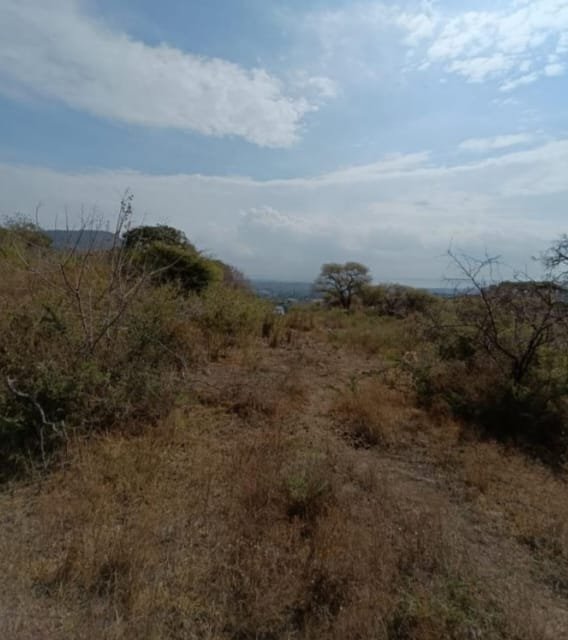 TERRENO EN VENTA BRISAS,CHAPALA,JAL.