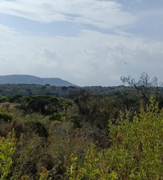 TERRENO EN VENTA BRISAS,CHAPALA,JAL.