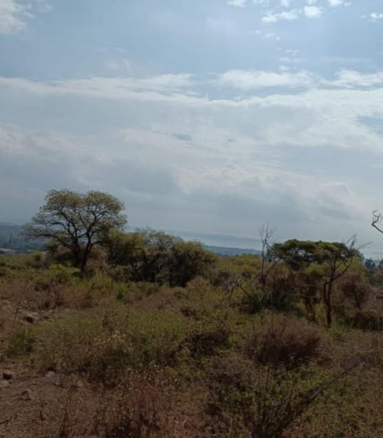 TERRENO EN VENTA BRISAS,CHAPALA,JAL.