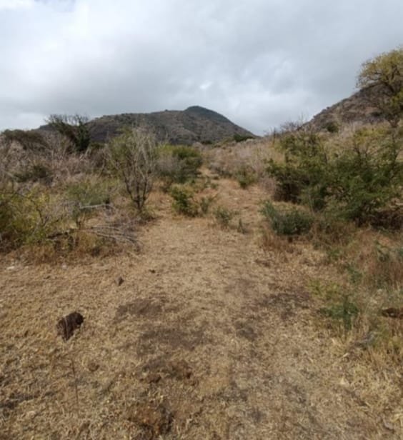 TERRENO EN VENTA BRISAS,CHAPALA,JAL.