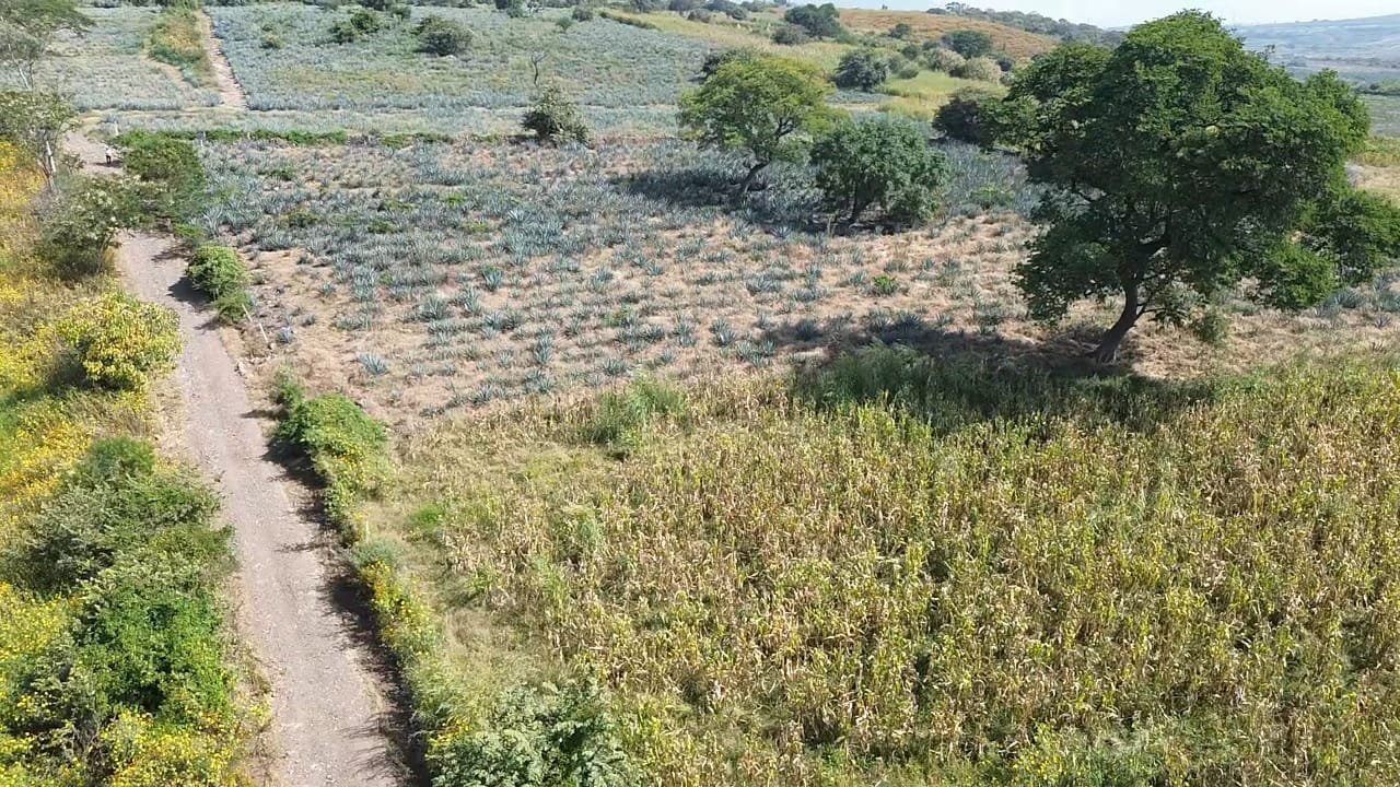 TERRENO EN VENTA ACÀTLAN DE JUÀREZ,JAL.