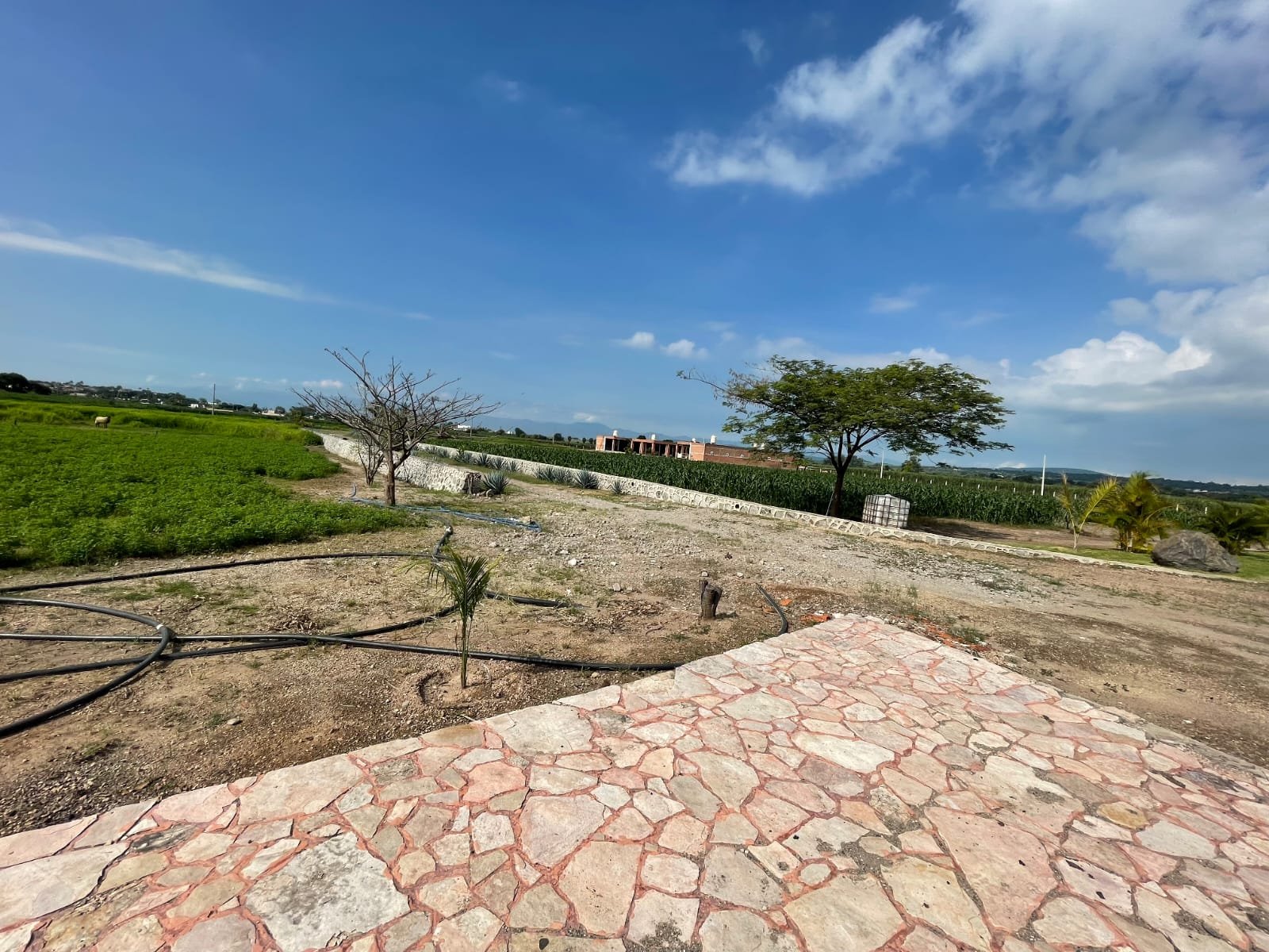 TERRENO EN VENTA CON EDIFICACIÒN ACATLÀN DE JUÀREZ,JAL.