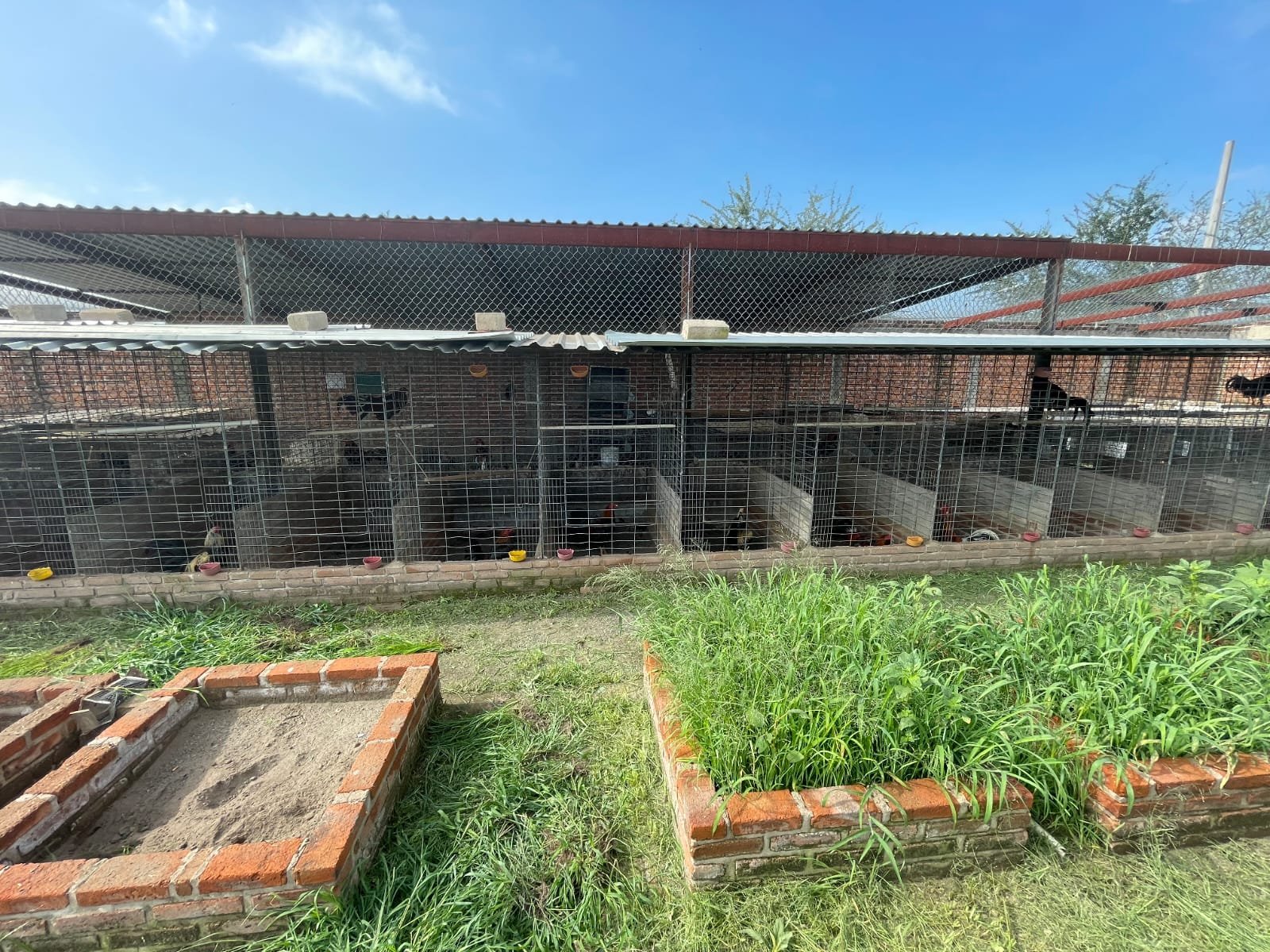 TERRENO EN VENTA CON EDIFICACIÒN ACATLÀN DE JUÀREZ,JAL.