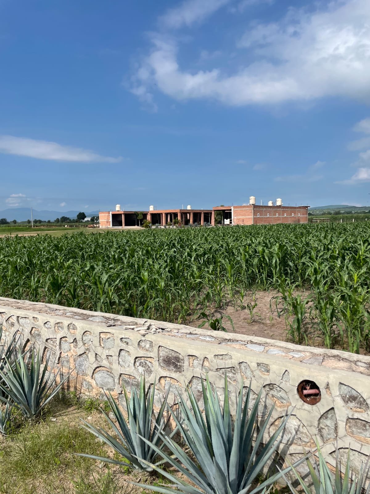 TERRENO EN VENTA CON EDIFICACIÒN ACATLÀN DE JUÀREZ,JAL.